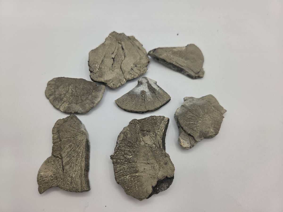 Pyrite Sun pieces M