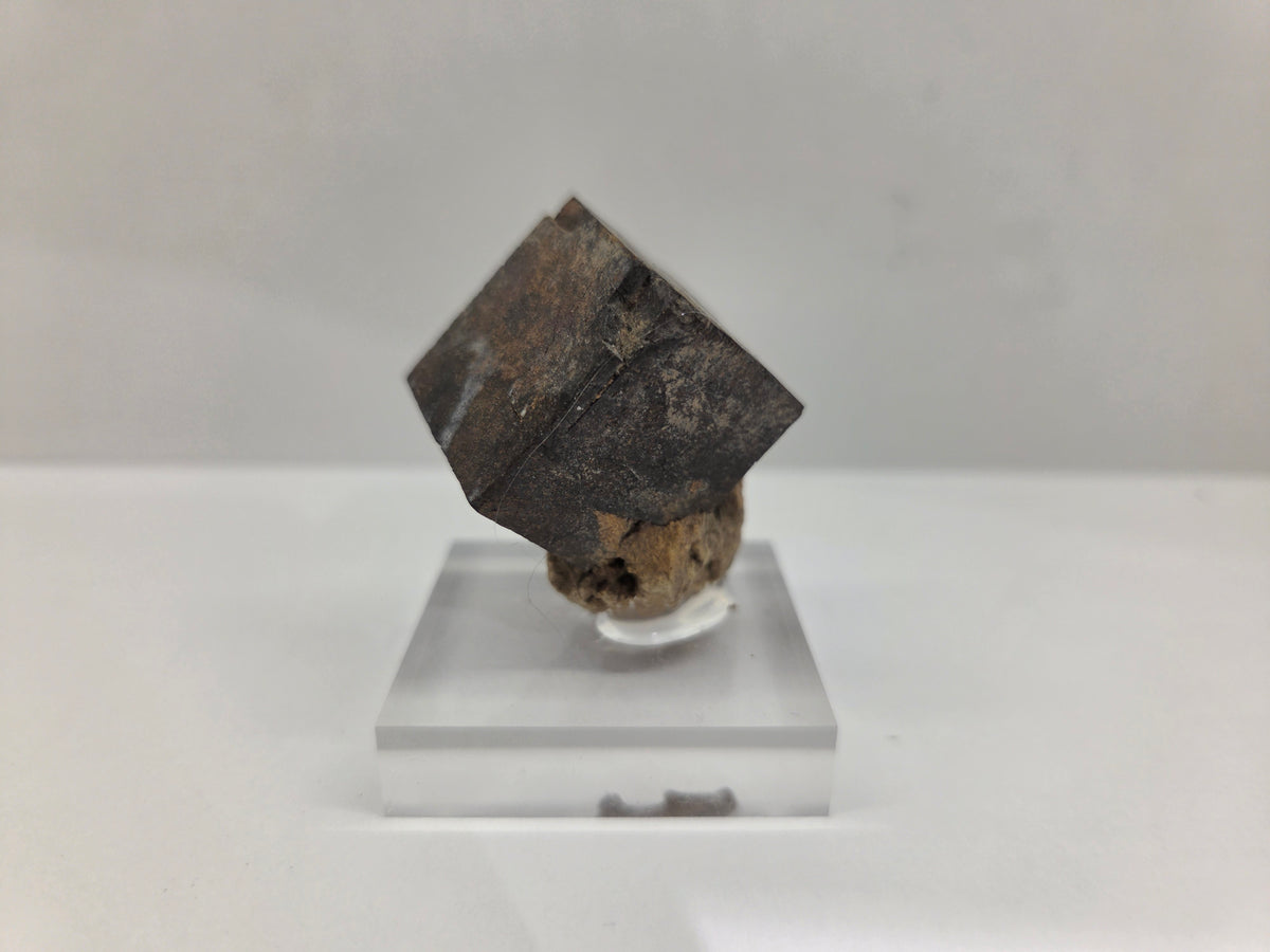 Limonite after Pyrite