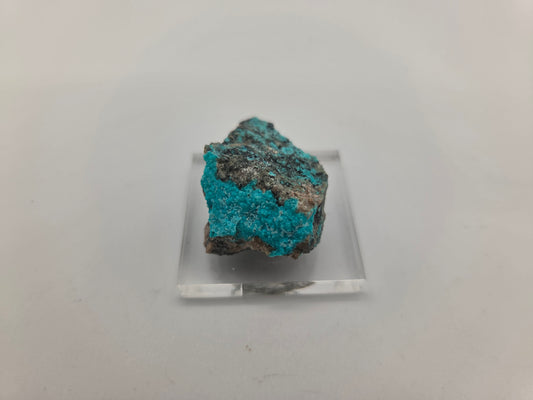 Chrysocolla
