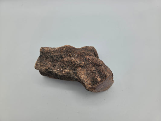 Petrified Wood