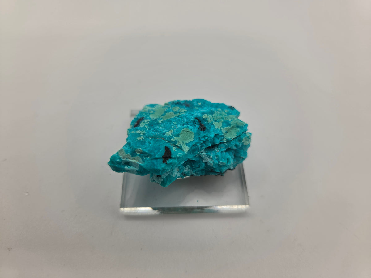 Chrysocolla (Copy 3)