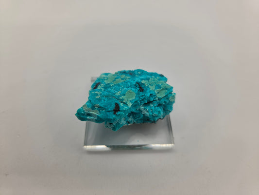 Chrysocolla (Copy 3)