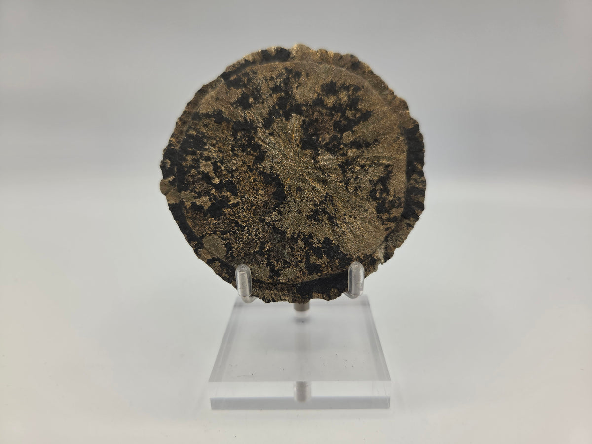 Pyrite Sundisk