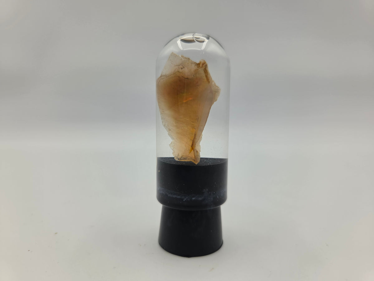 Opalized Wood (Copy 2)