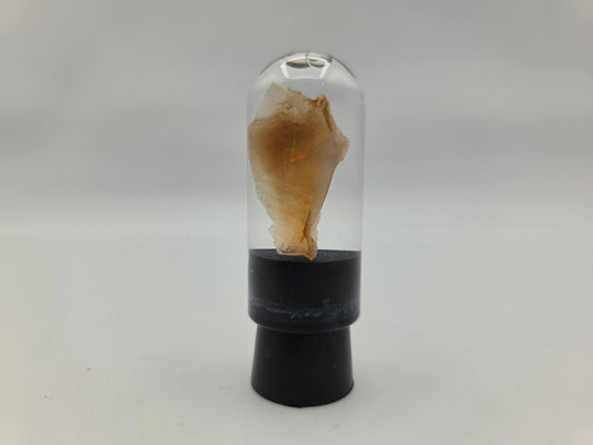 Opalized Wood (Copy 2)