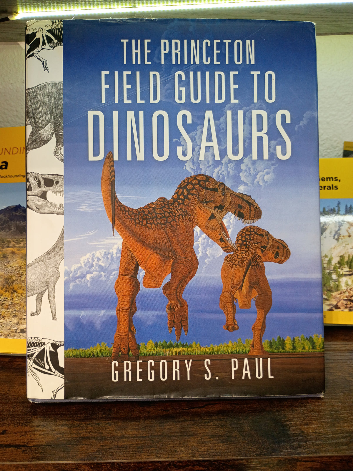 Princeton field guide to dinosaurs
