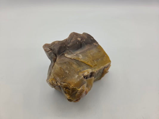 Petrified Wood