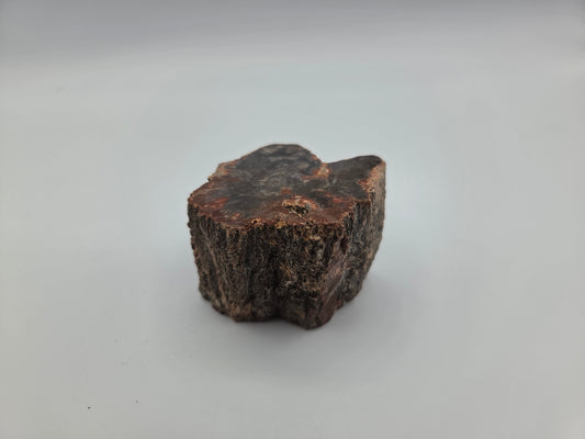 Petrified Wood