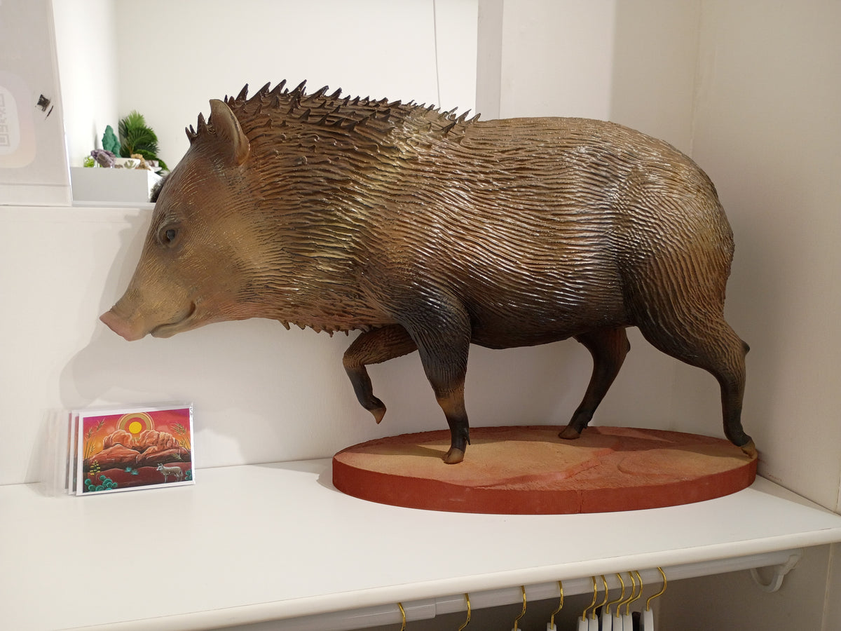 Javelina (life-size)