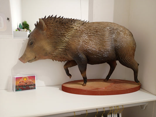 Javelina (life-size)