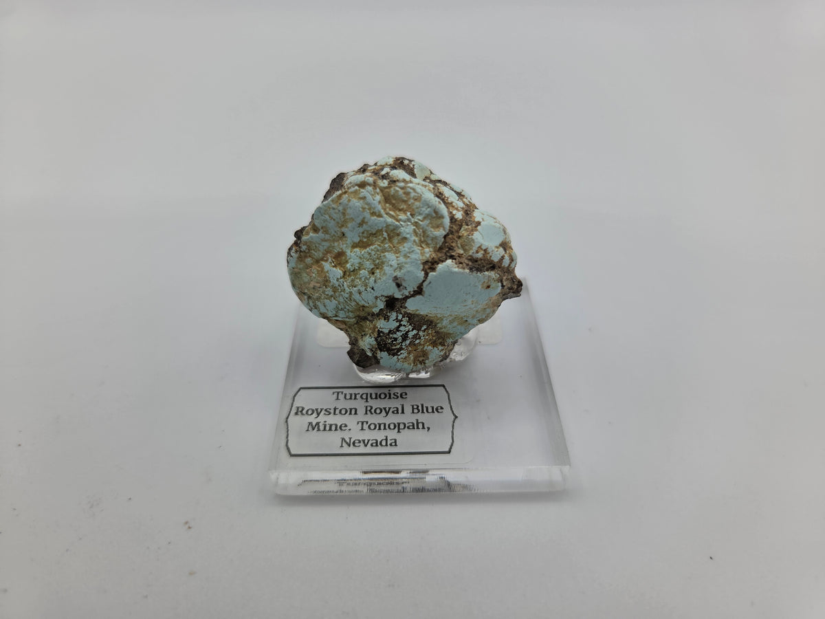 Turquoise