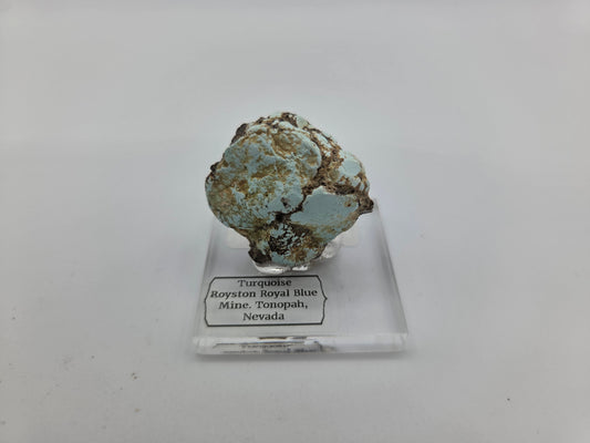 Turquoise